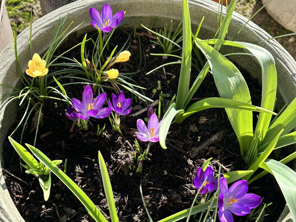 Two years of pocket nibbles