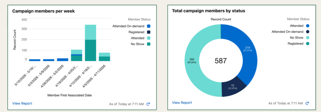 Embedded reports